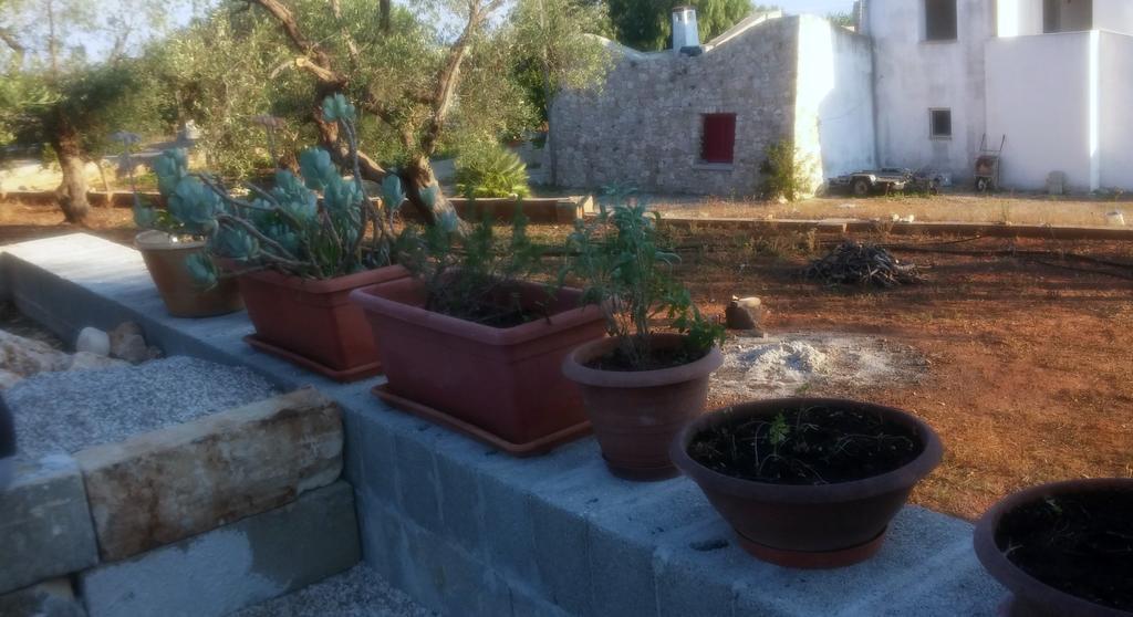 Villa "Posto Cantoro" Marina Di Pescoluse Habitación foto